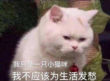 被骗之后,她们要怎么办