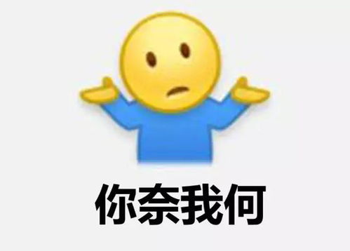 给跪了目测这个表情包要火