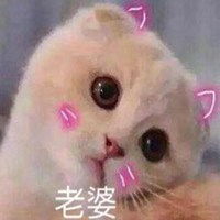 老婆找不到了表情包微信头像图片大全