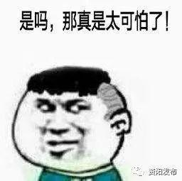 白蚁惹人烦这里有一个免费帮你灭治白蚁的办法,速来了解