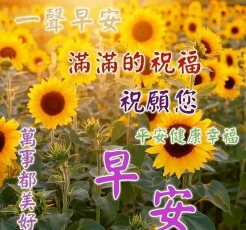 11月18日早上好问候语图片,星期三早安祝福语图片表情大全唯美