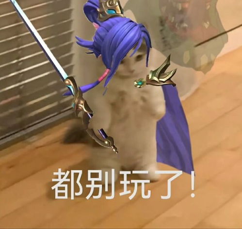 英雄联盟猫猫版英雄表情包六