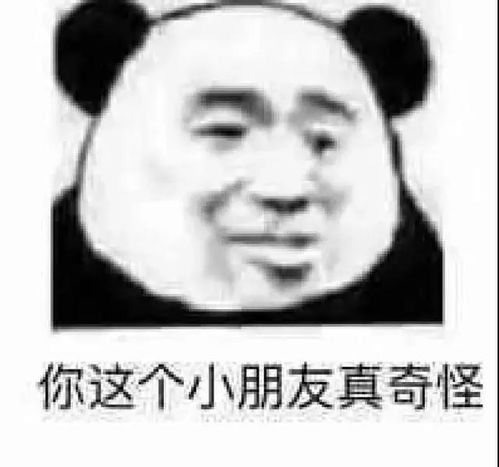表情包早安,我的小炮友