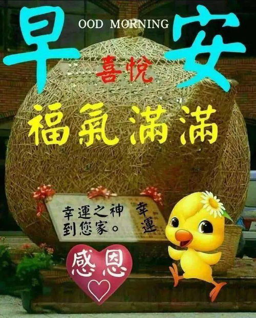 2月27日最漂亮的早上好动态表情图片大全,早上好动图美图大全