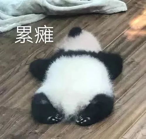 丧偶式育儿的酸爽,老母亲真扛不住了