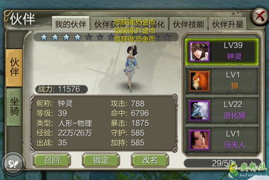 天龙八部3d伙伴资质和星级可以继承吗