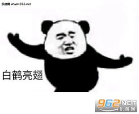 熊猫功夫白鹤亮翅招式表情包大全武功招式表情包熊猫高清无水印下载乐游网游戏下载
