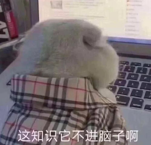 最新汇总近期的留学利好政策和你息息相关