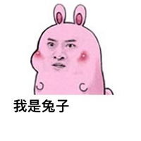 肉团十二生肖微信表情微信头像图片大全