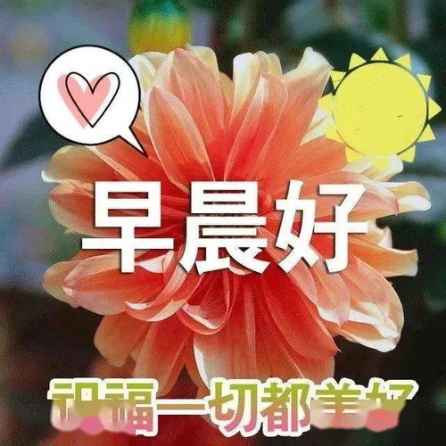 微信漂亮的早上好动态祝福表情,秋季新版早晨问候祝福短信