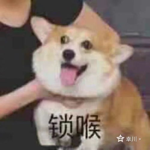 先喝汤再吃饭还是先吃饭最后喝一碗汤好