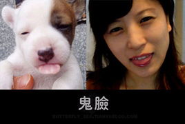 漂亮美眉的动物模仿秀