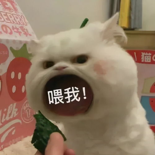 新女团nmixx的04年成员雪允是静态美人