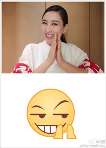 厉害了我的马苏把表情包模仿得如此传神