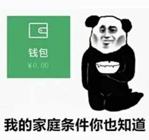 搞笑表情包我的家庭条件你也知道