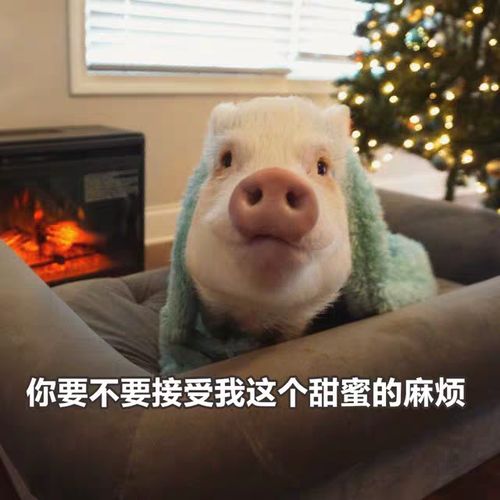 穿搭