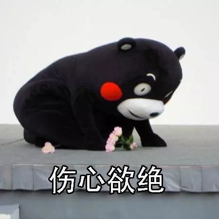 失踪了十天的若风究竟去哪了恭喜lpl包揽全明星两个冠军