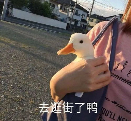 平平无奇,却能让水变好喝的居然是这个小罐