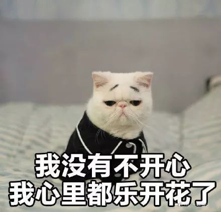 为什么矮个子女生更受欢迎扎心了,老铁......