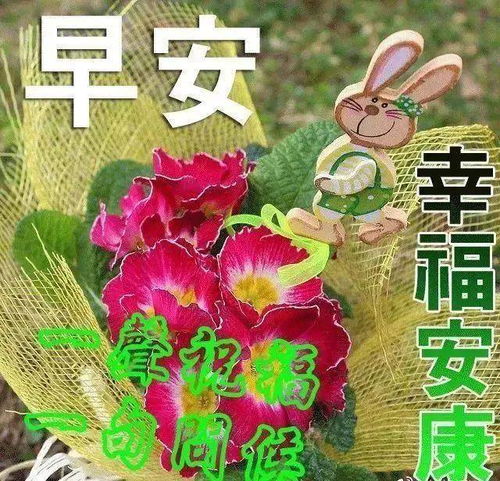 最新版微信早上好祝福图片大全微信春天早安问候语配图片