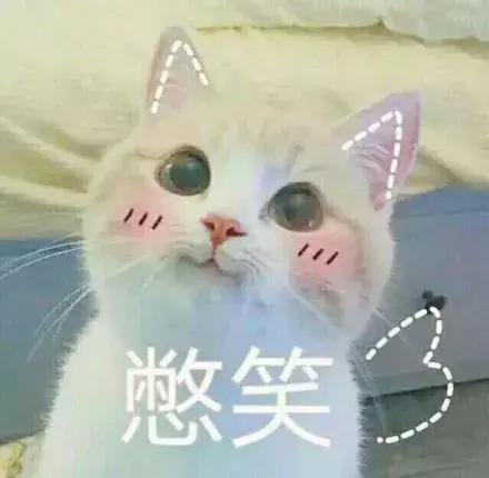 两只猫抱一起表情包啊哈