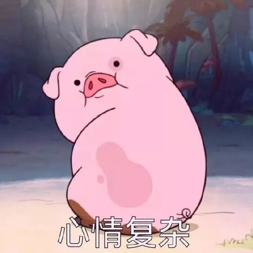 通知唯有美食不可辜负立信校园美食节,菌菌与你来相约