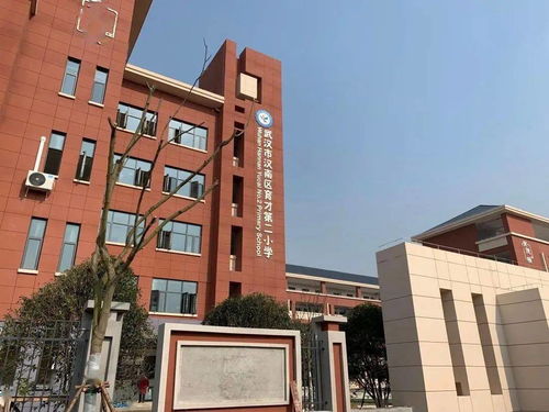 武汉今秋有60余所新校投用,这个区新增学校最多