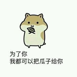 2.14情人节表白动态表情包图片大全