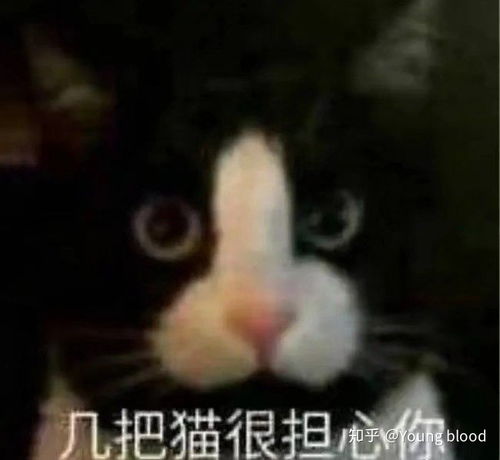 刚睡醒的呆萌表情包睡醒