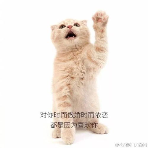 撩妹调情,我只服杜蕾斯