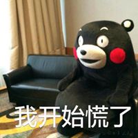 熊本熊晒太阳的表情包微信头像图片大全