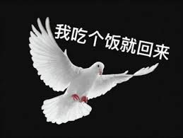 深夜聊天室你在游戏中见过最奇葩的离队理由是什么