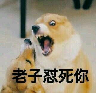 顶盛真人顶级体育官方网站