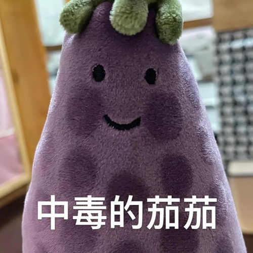 最近很火的表情包猫茄子