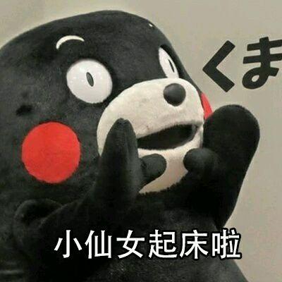 叫女朋友起床的表情包合集小仙女起床啦