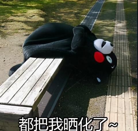 全市更高38好消息周末降雨减炎值