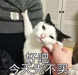 doyouknow你表情包中的猫
