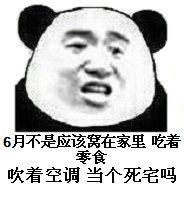熊猫头表情包说实话,这个点,猪都已经起床吃饭了