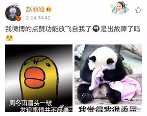 美成仙女的颖宝怎么活得像个高仿号