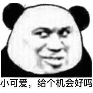 表情包小可爱,给个机会好么
