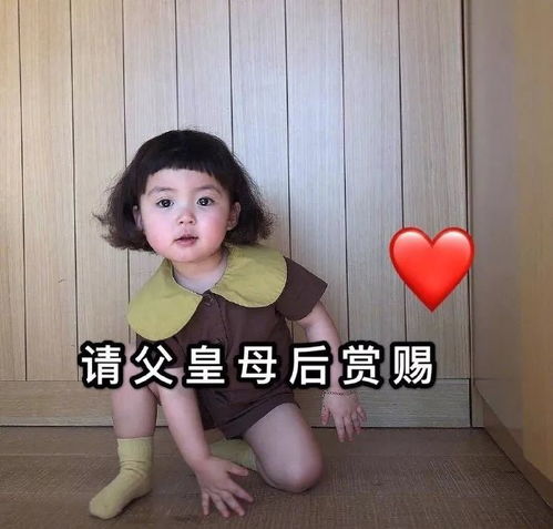 白嫖给我表情包生活费