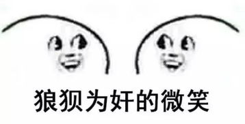 睡啥睡起来嗨表情包微笑