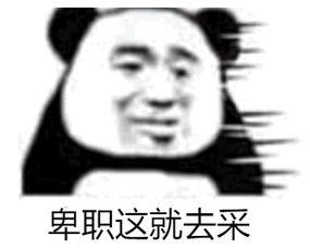 吐血巨制记者专用表情包来了