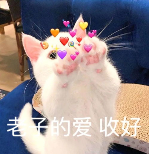 表情包长图片hpv疫苗
