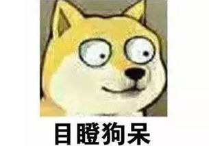 目瞪口呆表情包懒羊羊包围