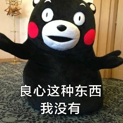 表情包熊本熊等过年不想努力了反正快过年了