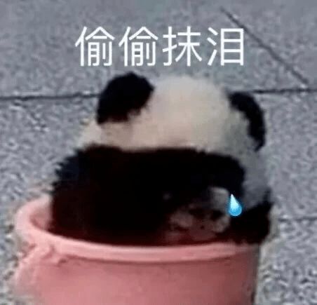史上最惨毕业照救命看得我密集恐惧症犯了
