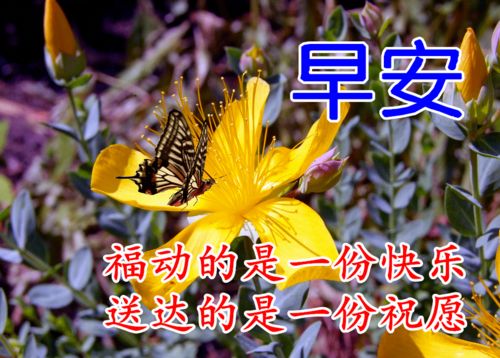 10月15日早上好动态表情图片大全,早晨好动图美图大全