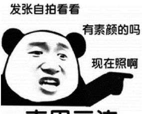 啵唧表情包文案直男
