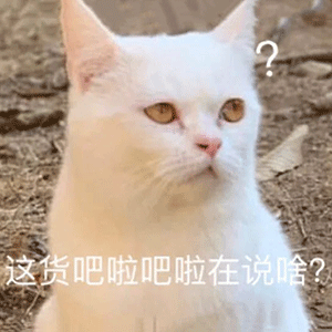 表情包最新热门搞笑的表情
